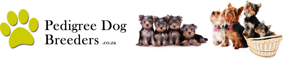 Pedigree Dog Breeders